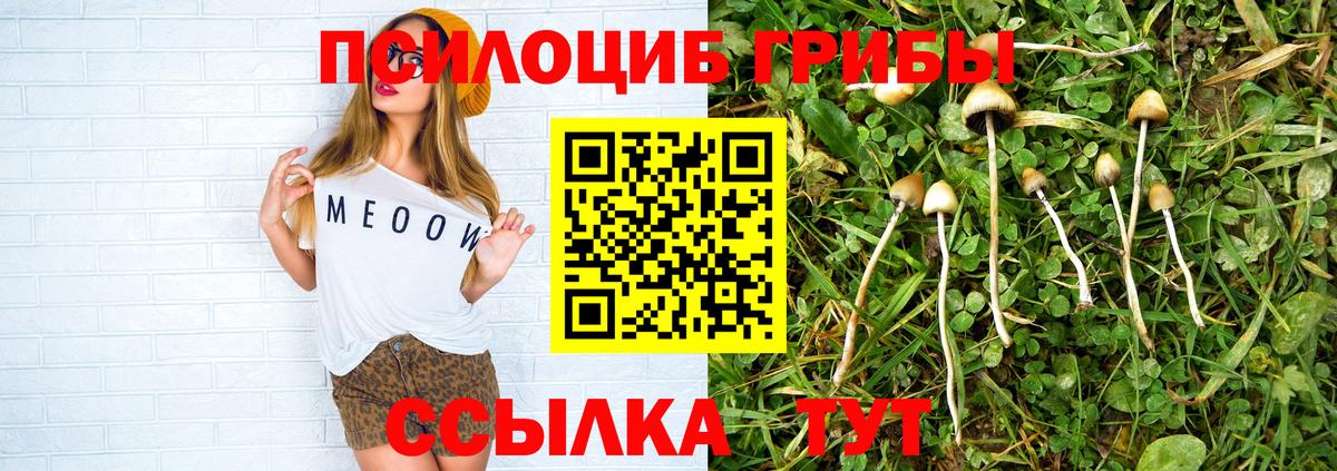 Галлюциногенные грибы ЛСД Ленинск-Кузнецкий